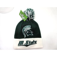 1707-01 FLASH POM M.STATE 