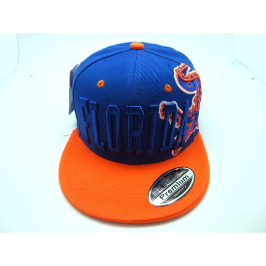 2307-06 CITY SNAP BACK "SUPER WALL" FLORIDA